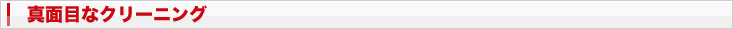 真面目なクリーニング